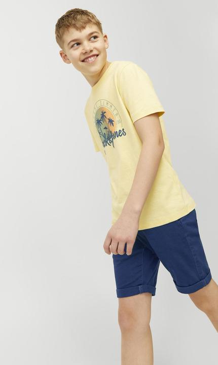 Actual product image Jack & Jones Jpstdavid Jjchino Shorts Akm Sn Mni (116)