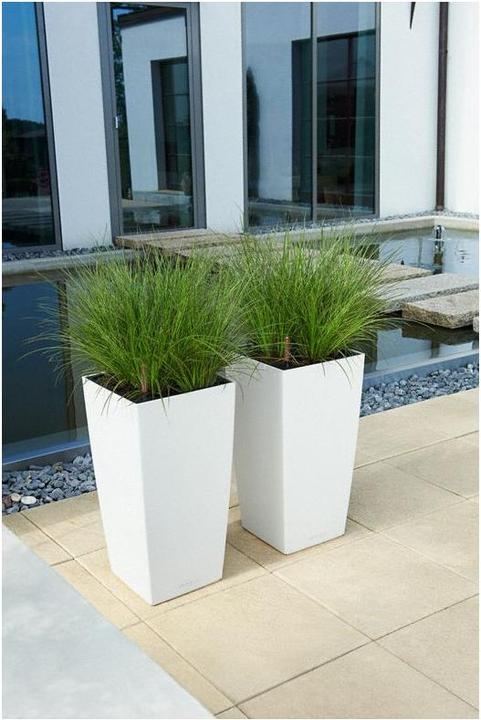 Produktbild Lechuza Cubico Color 30 (29.50 cm)