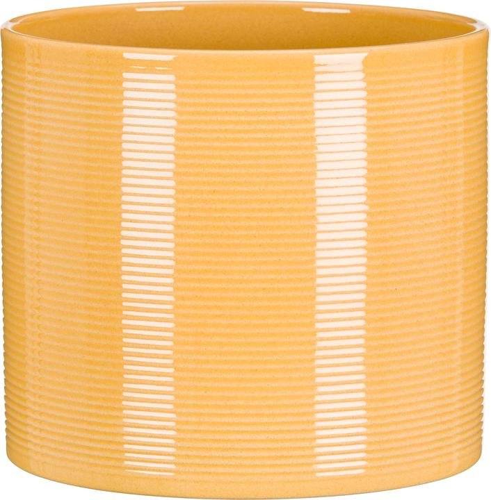 Produktbild Scheurich Zabaione (16 cm)
