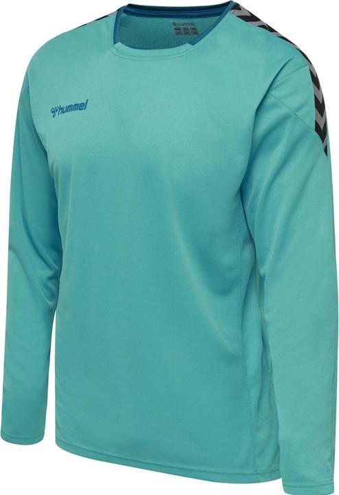 Produktbild hummel Authentic Poly Jersey L/S (S)