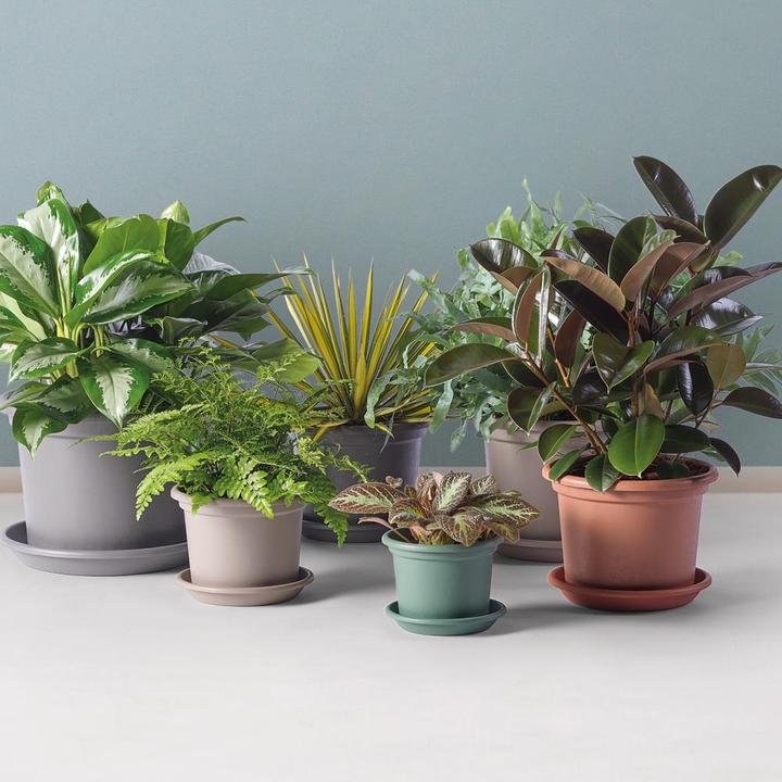 Image du produit Euro3plast Bacs à plantes (25 cm)