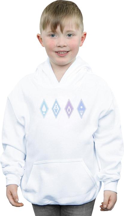 Actual product image Disney Boys Frozen 2 Elements Symbols Hoodie (140, 146)