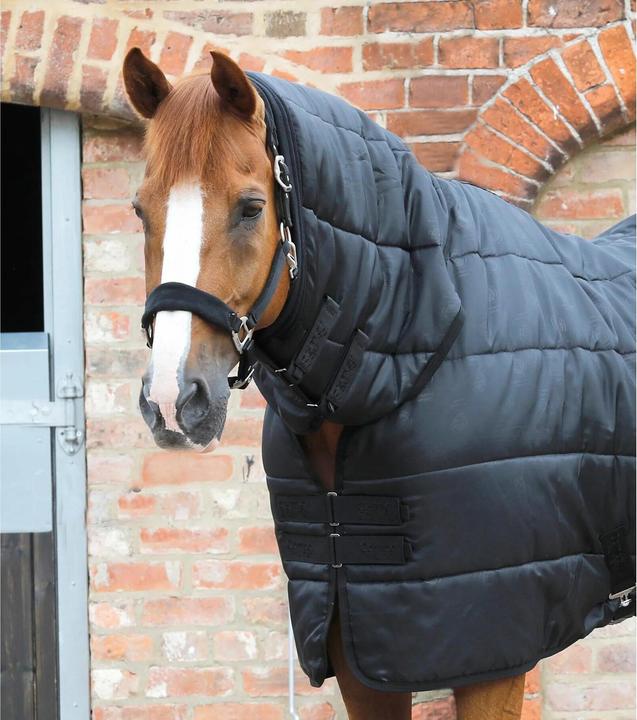 Produktbild Premier Equine 100 g (213 cm)