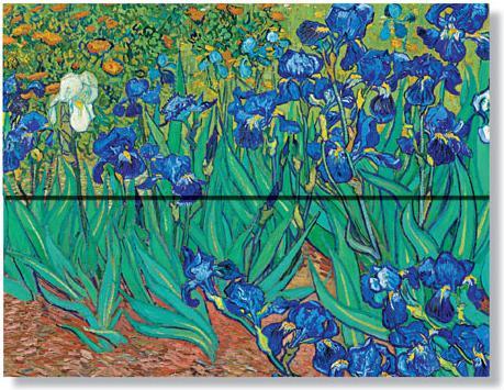Image du produit Paperblanks Chemise porte-document Chemise porte-document Iris de Van Gogh