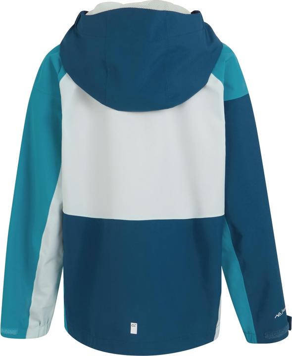 Actual product image Regatta Childrens/Kids Highton V Full Zip Hoodie (170, 176)