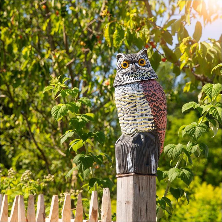 Produktbild Windhager Vogel Abwehr Eule