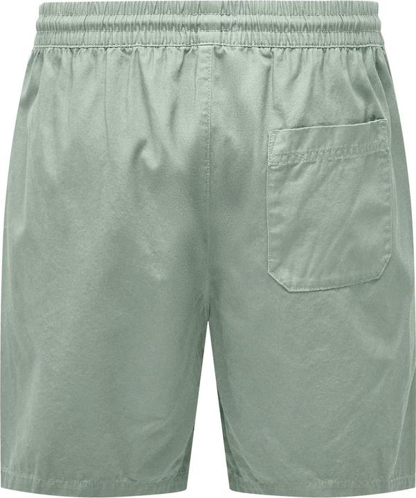 Produktbild Only & Sons ONSTEL Normal geschnitten Shorts Shorts (L)