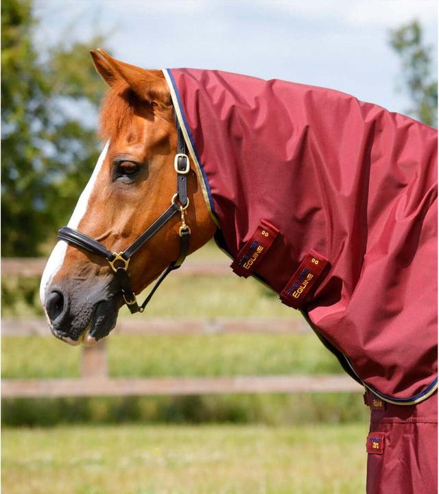 Image du produit Premier Equine Buster 0 g (168 cm)
