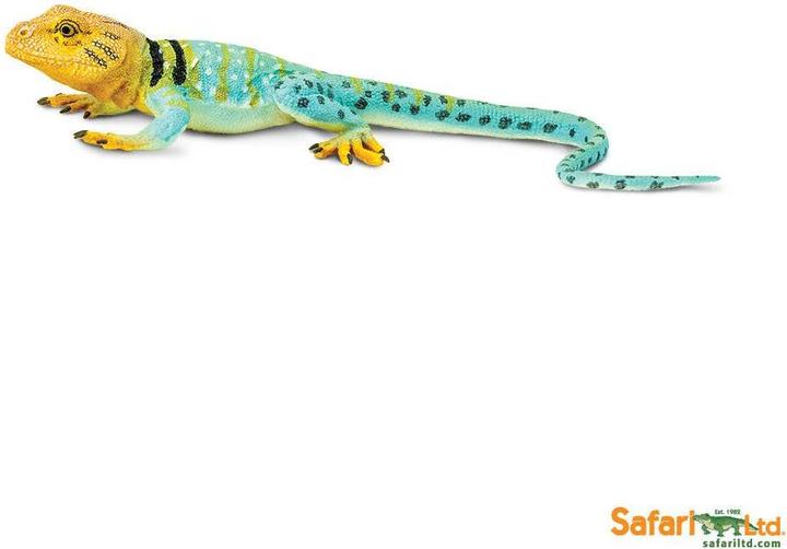 Immagine prodotto Safari Iguana dal collare