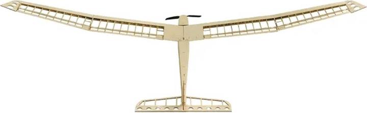 Produktbild Pichler AION Segler / 2500 mm Holzbausatz (Segelflugzeug)