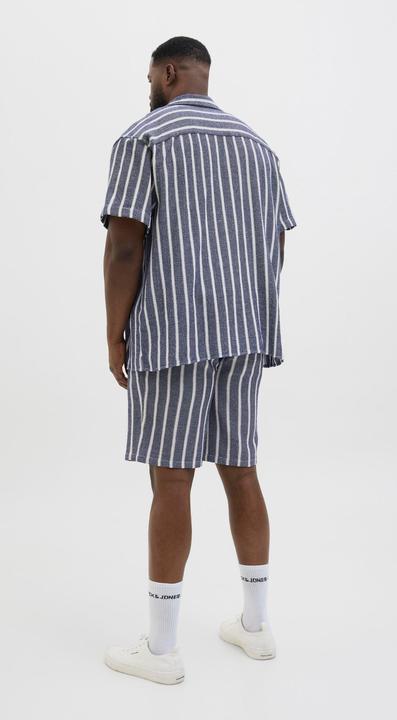 Produktbild Jack & Jones Jpstjaiden Coba Stripe Jog Short Sn Pls (44)