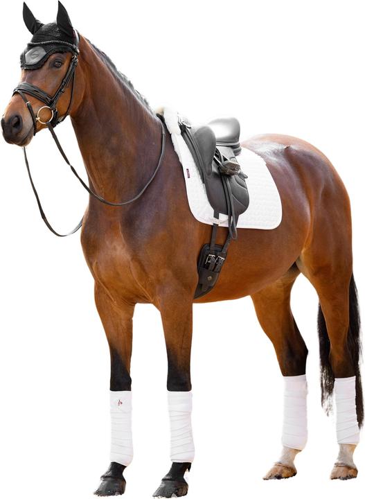Actual product image LeMieux Merino+ Square