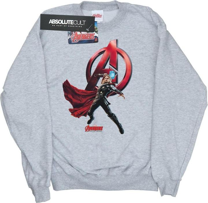 Produktbild Thor Pose Sweatshirt Jungen (152, 158)