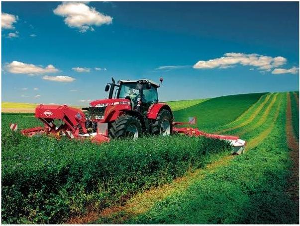 Actual product image Rolly Toys Massey Fergusson