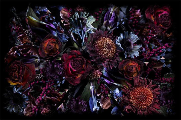 Produktbild Moooi Fool's Paradise Teppich (200 x 300 cm)