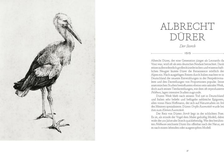 Image du produit Vögel in der Kunst (Allemand, Kendra Wilson, 2020)