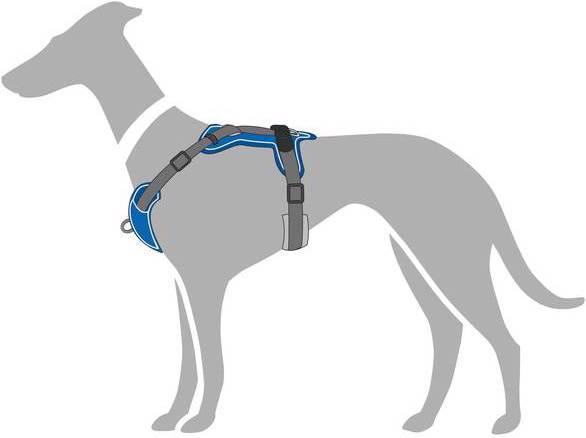 Immagine prodotto Hunter Stoviglie Divo (XS, Cane, Generale)