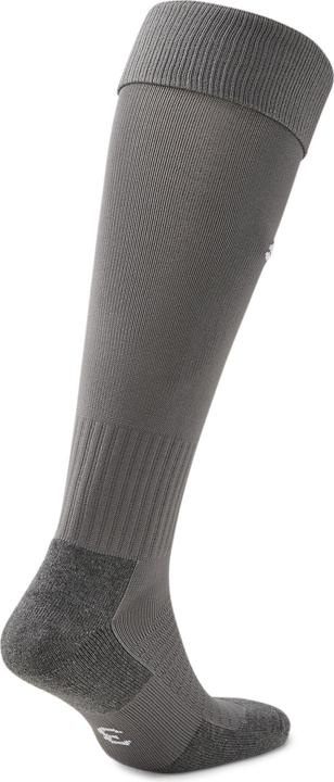Actual product image Puma Team LIGA Socks CORE-703441 (39, 42)