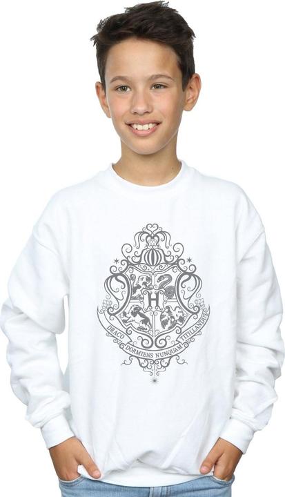 Image du produit - Sweat HOGWARTS DRACO DORMIENS CREST - Garçon (128)