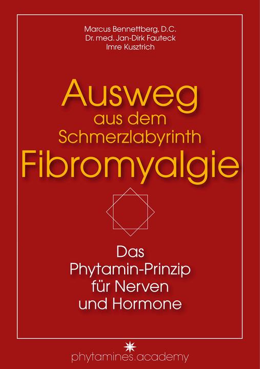 Produktbild Ausweg aus dem Schmerzlabyrinth Fibromyalgie (Deutsch, Imre Kusztrich, Jan-Dirk Dr. med. Fauteck, Marcus Bennettberg D.C., 2016)