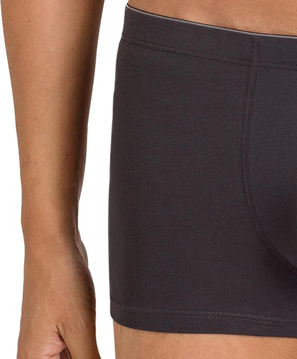 Actual product image Hanro Cotton Superior Pant (XXL, Single pack)