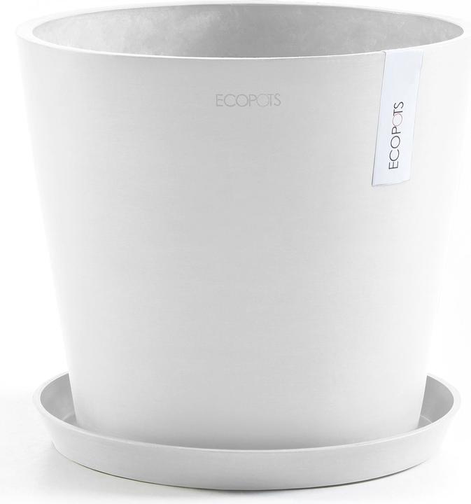 Actual product image Ecopots Saucer Round