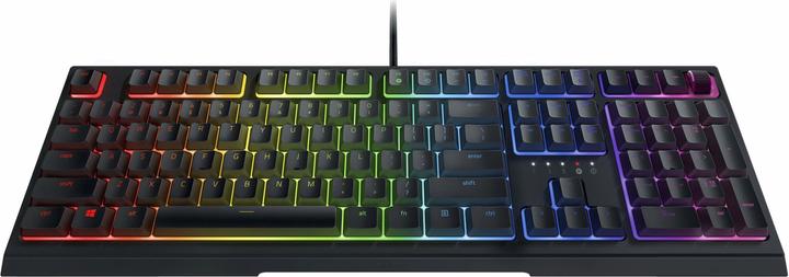 Actual product image Razer Ornata V2 (US, Cable)