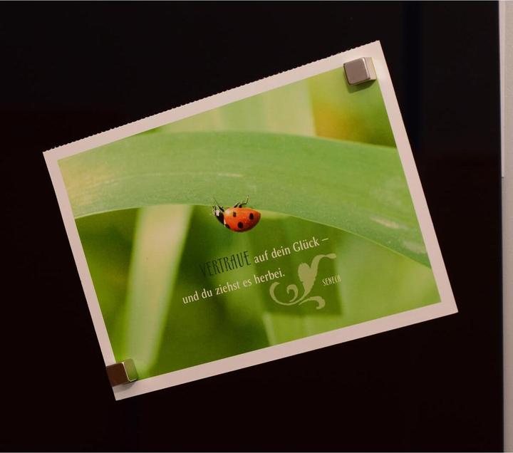 Actual product image Maul Cube magnet (4 x)