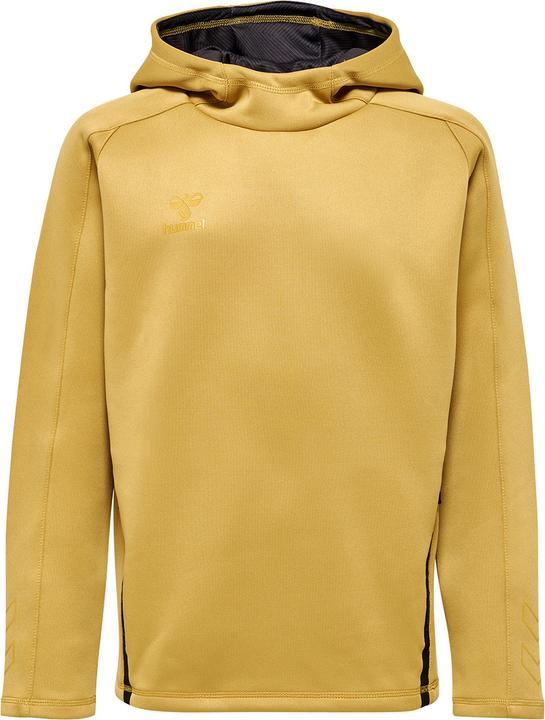 Actual product image hummel Cima Xk Hoodie Kids (176)