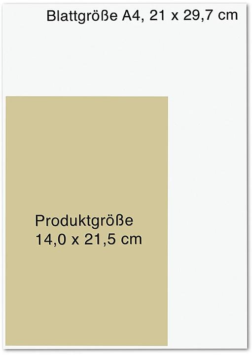 Actual product image Künstliche Intelligenz (German, Manfred Spitzer, 2023)