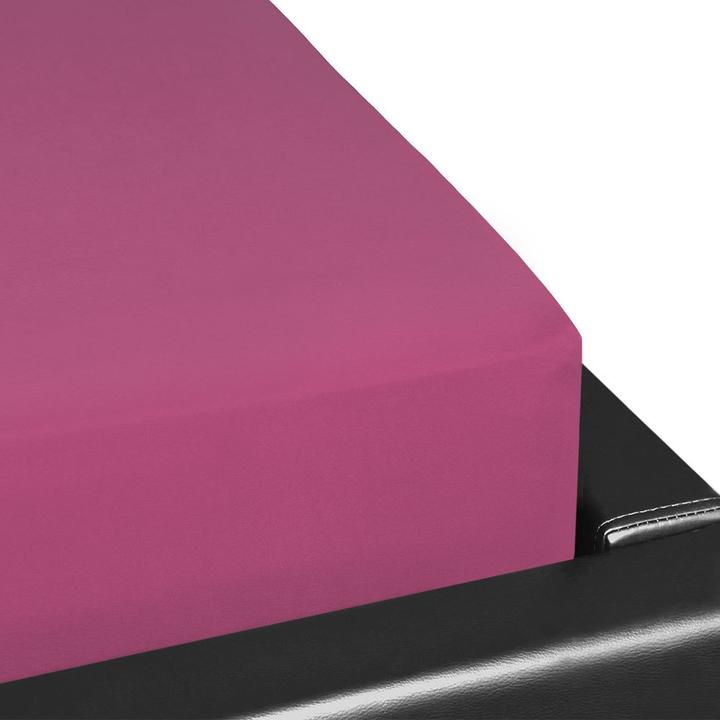 Fuchsia