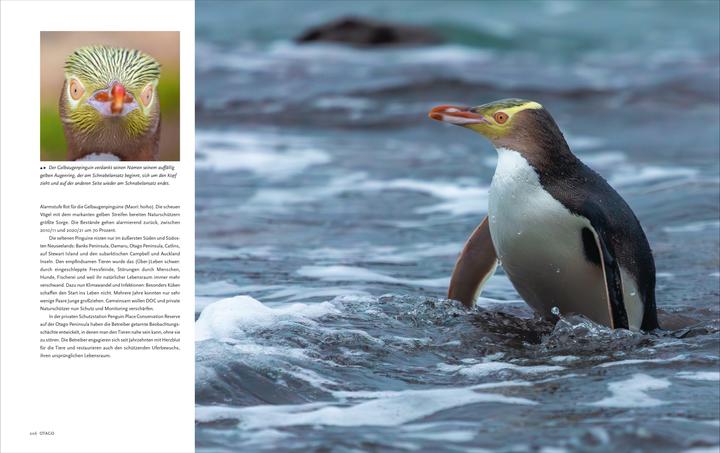 Produktbild National Geographic Neuseeland (Deutsch, Kristof Göttling, Vision 21 Dr. Heiko Beyer, Wiebke Reißig-Dwenger, 2024)