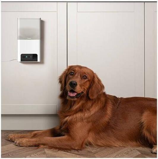 Image du produit Petcube Caméra pour animaux domestiques avec distribution de friandises (1 l)
