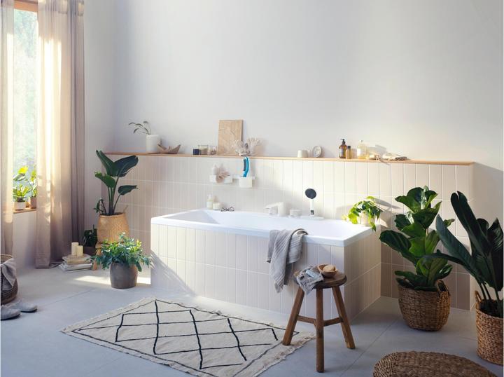 Immagine prodotto hansgrohe Accoppiamento rapido (Cane)