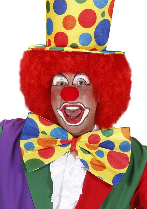 Actual product image Widmann Giant fly clown