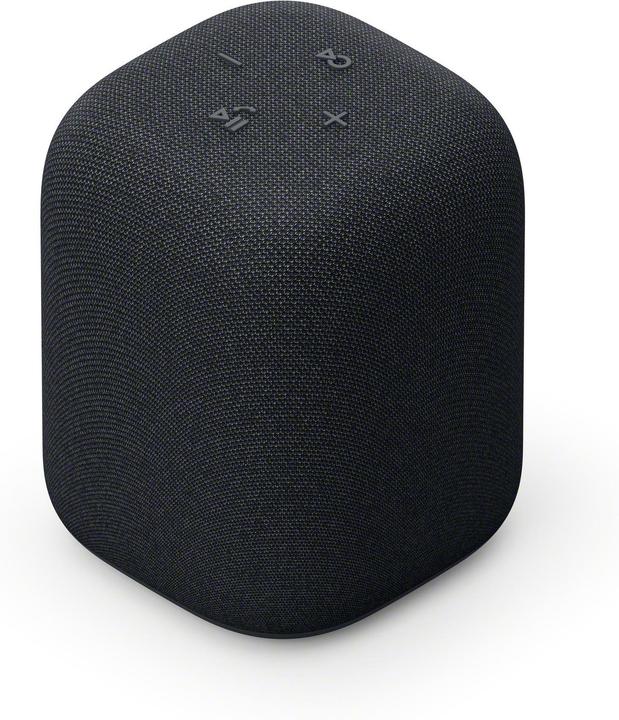 Actual product image Sony SRS-LS1 (25 h, Rechargeable battery operated)
