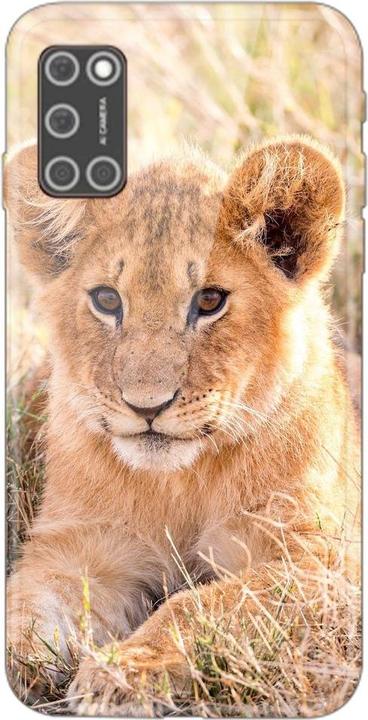 Lions baby