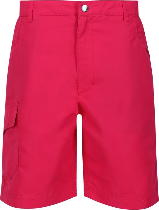 Regatta Sorcer II Shorts