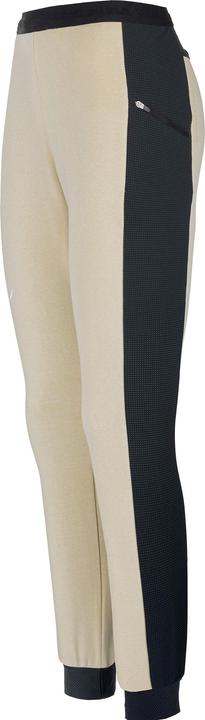 Image du produit Salewa Pantalon Lavaredo Hemp Train Da (38, M)