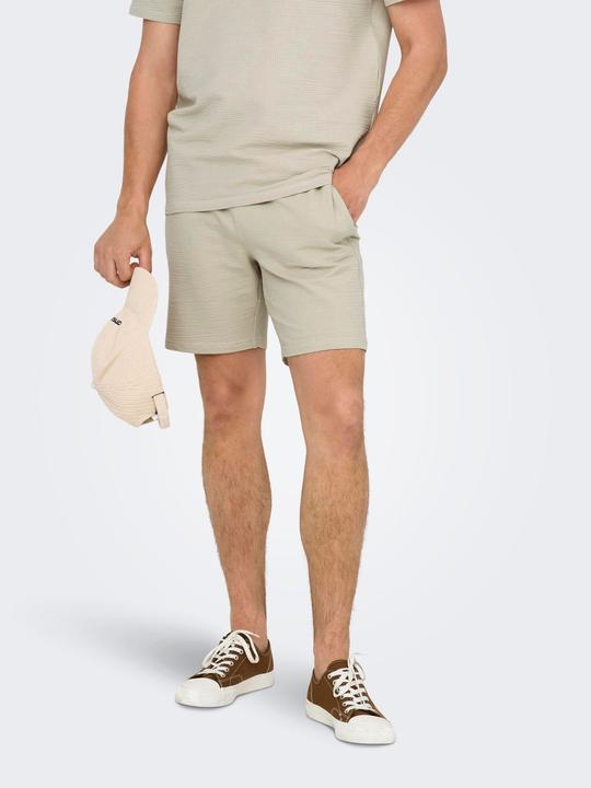 Produktbild Only & Sons Onskian Reg Seersucker Shorts (L)