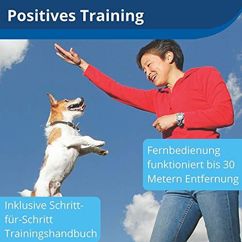 Actual product image PetSafe Treat and Train