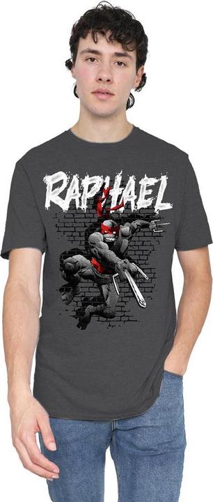 Immagine prodotto Teenage Mutant NT Maglietta Raffaello Adulto Unisex (M)
