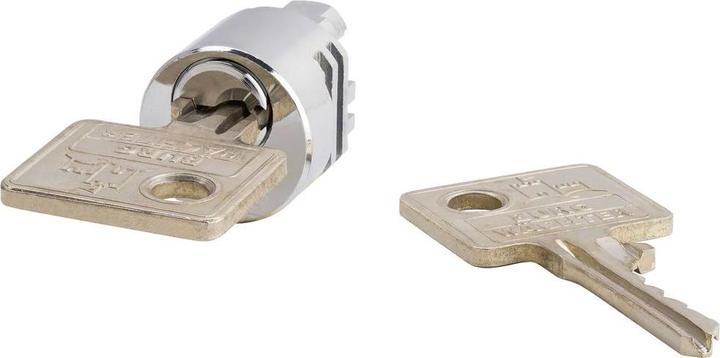 Actual product image Burg Wächter Mailbox cylinder BK 92