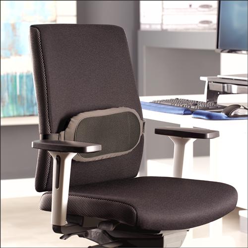 Immagine prodotto Fellowes Cuscino lombare, poliestere (35 x 6 x 16 cm)