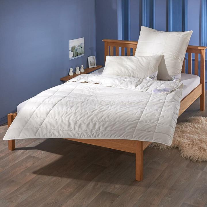 Actual product image Traumschlaf Alpaka (600 g, 160 x 210 cm)