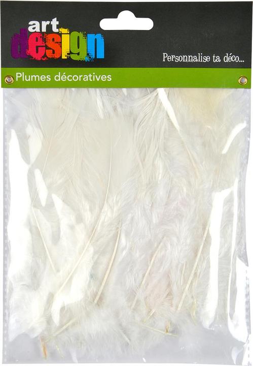 Produktbild Natura Punto 35 weiche Bastelfedern, weiss, Länge 17 cm