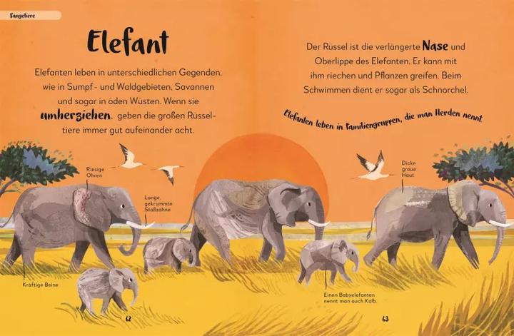 Produktbild Mein liebstes Buch der Tiere (Deutsch, Eva Sixt, 2022)