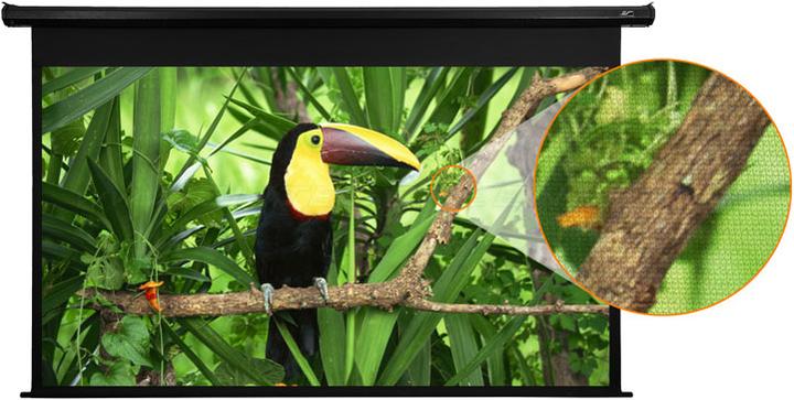 Immagine prodotto Elite Screens Spectrum (110", 16:9)