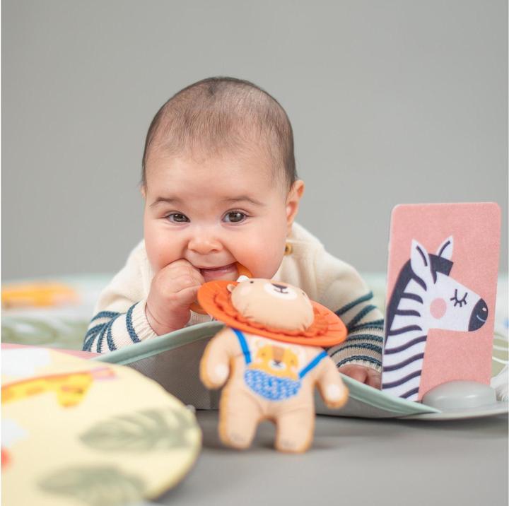 Actual product image Taf Toys Savannah