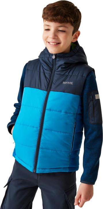 Immagine prodotto Regatta Lofthouse II Gilet Bambini (170, 176)